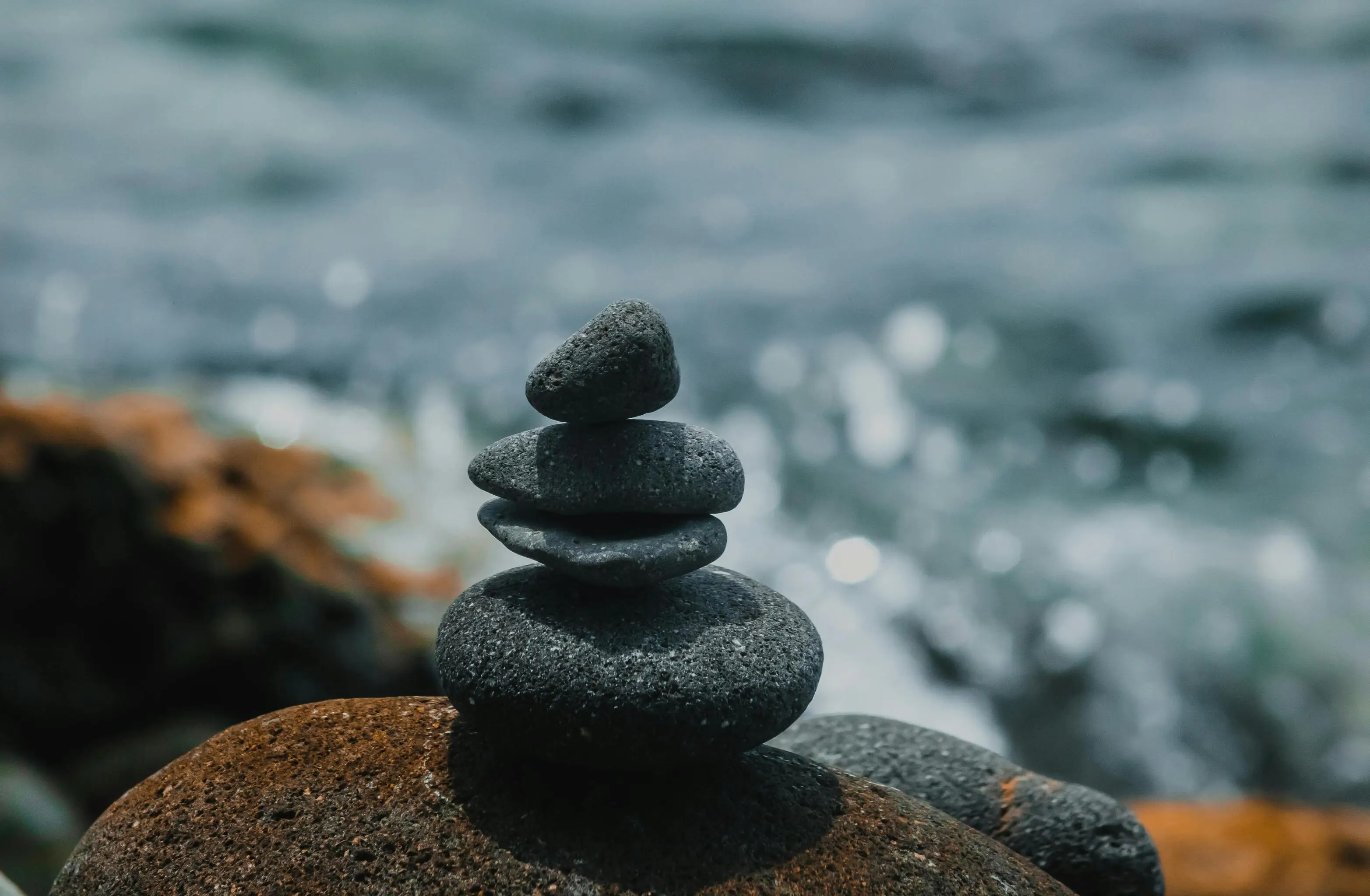 Professional advisory service for business growth