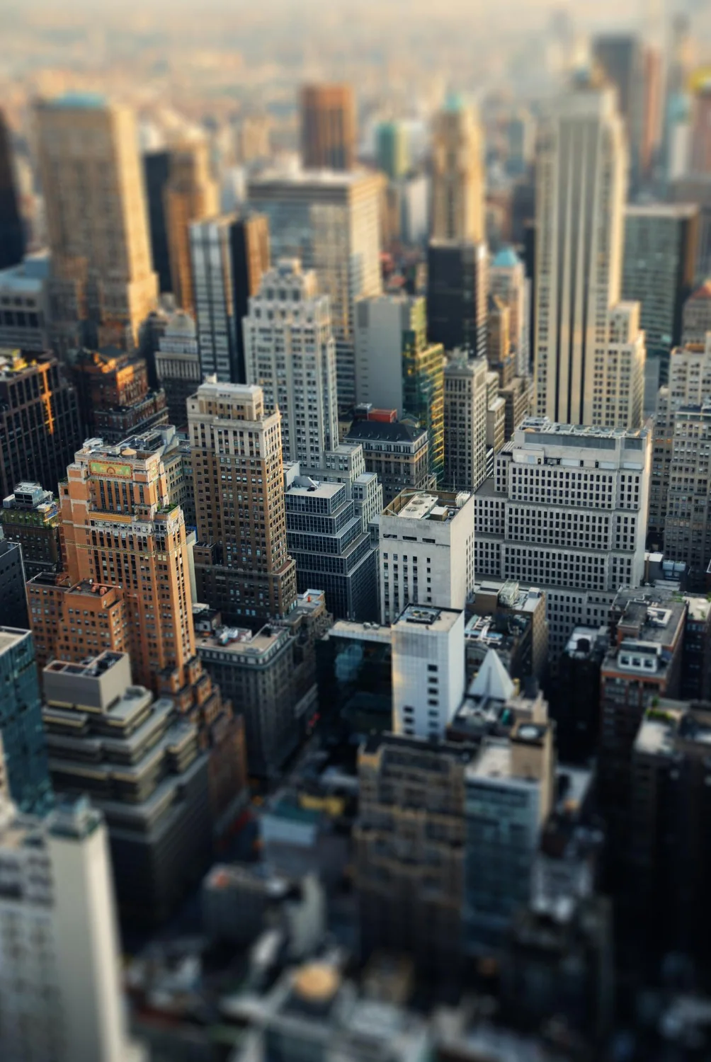 Infrastructure & Urbanization Outlook